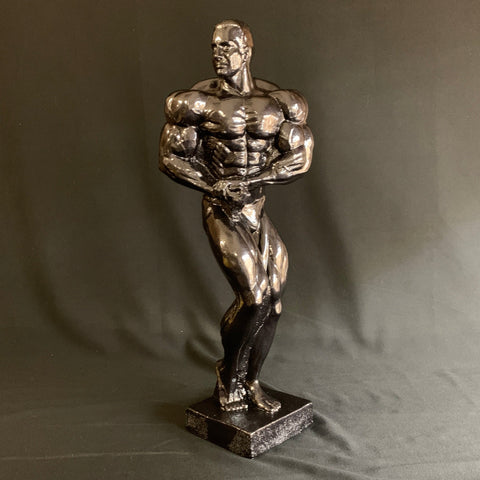 PRO BODYBUILDER SIDE CHEST