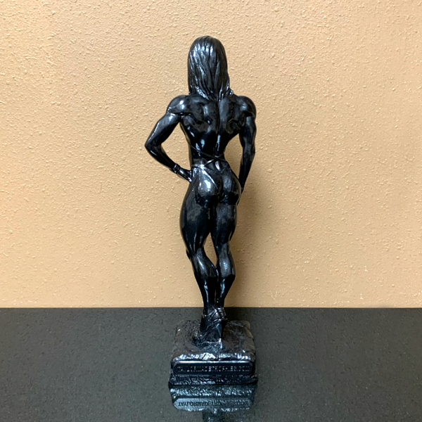 17" PRO FIGURE