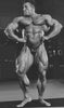 IFBB PRO DORIAN STYLE LAT SPREAD